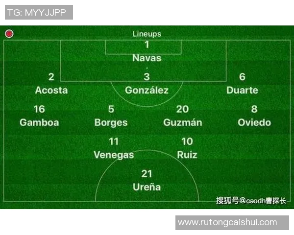 深圳排球队在世界杯预选赛中的默契配合与战术分析